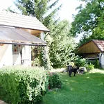 Outdoor Adventure & Relaxation *